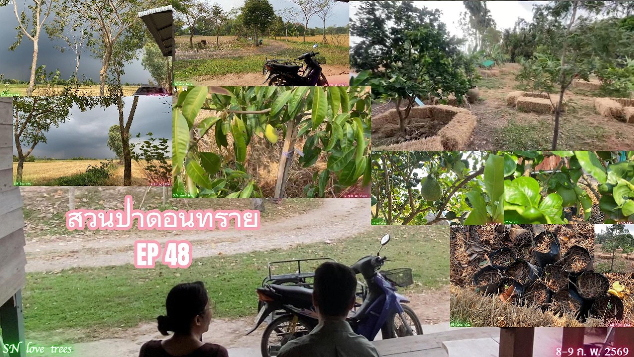 EP48 สวนป่าดอนทราย 48 (8-9 ก.พ.69)