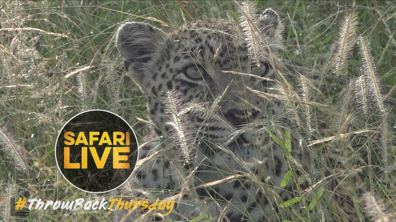 #ThrowbackThursday: We Remember our Last Sighting with Karula