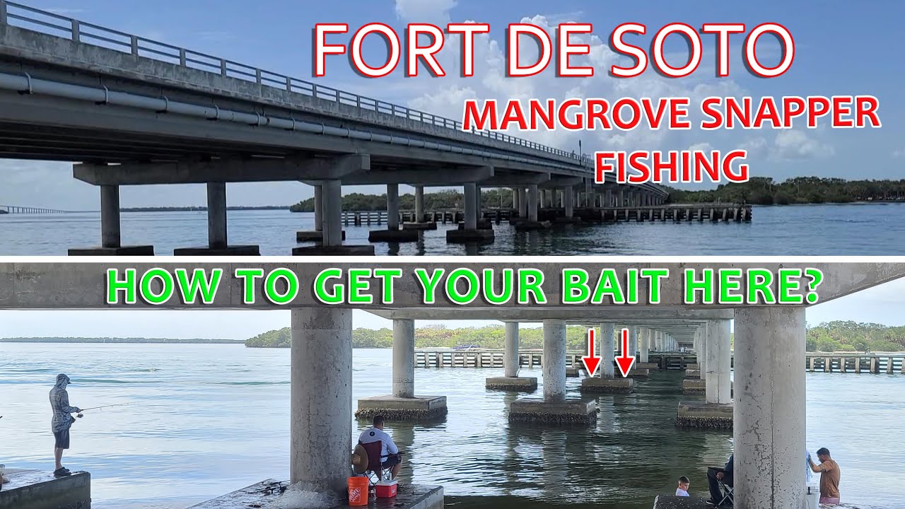 FORT DE SOTO Mangrove Snapper Fishing | South Florida Saltwater Bridge Fishing