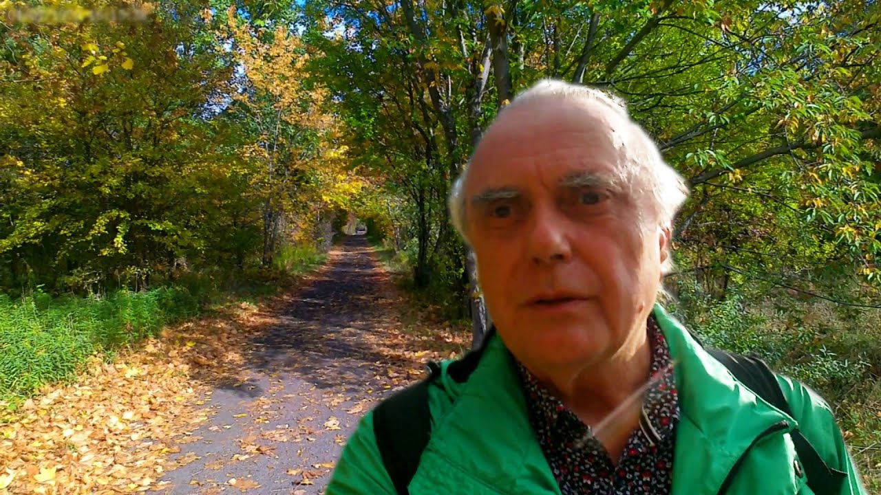 Wandern in Berlin: Von S - Frohnau nach U - Alt-Tegel
