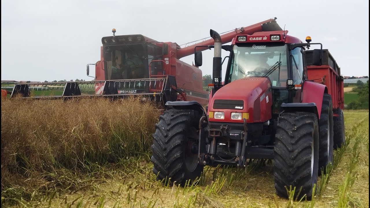 MOISSON DE COLZA 2022