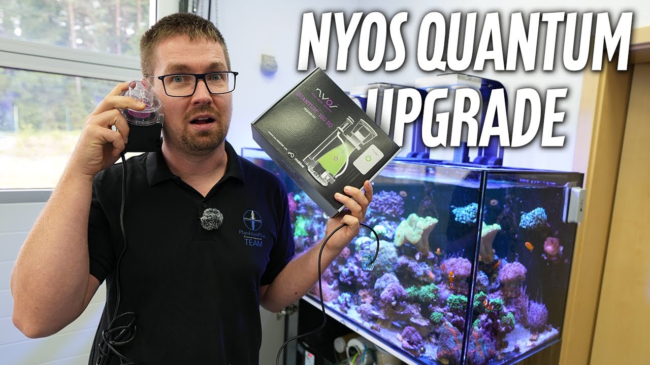 NYOS QUANTUM EQ Upgrade! So funktionierts - PlanktonPlus Aquaristik