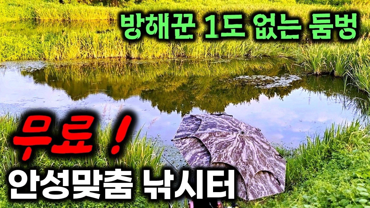 (주소공개) 미친 입질! 경기도 여주 무료 낚시터, 미친 입질에 파김치 된 붕어 무료낚시터 후기 #현지인 #fishing #무료낚시터