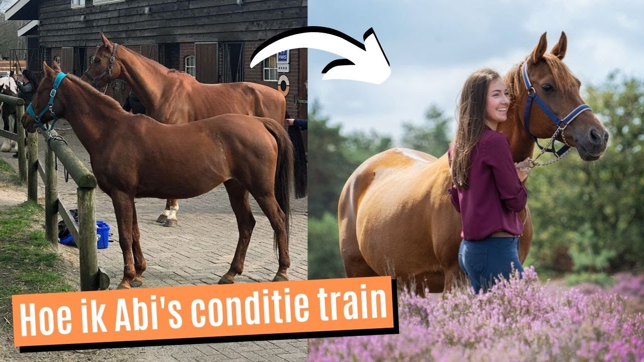 HOE TRAIN JE DE CONDITIE VAN JE PAARD? | Mijn tips en ervaring
