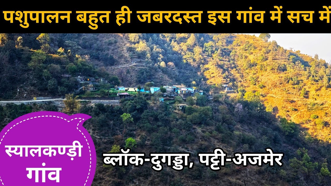 गाय,बकरी बहुत ज्यादा यहां, और गांव में पलायन भी नहीं दिखा तारिफ के काबिल यहां के लोग || 