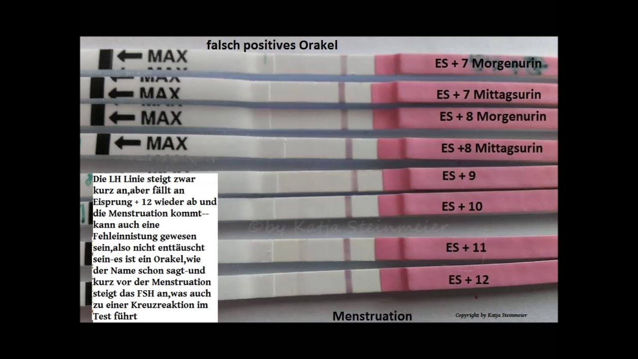 Vom Kuss zum Baby --  Orakeltests Tipps und Anleitung