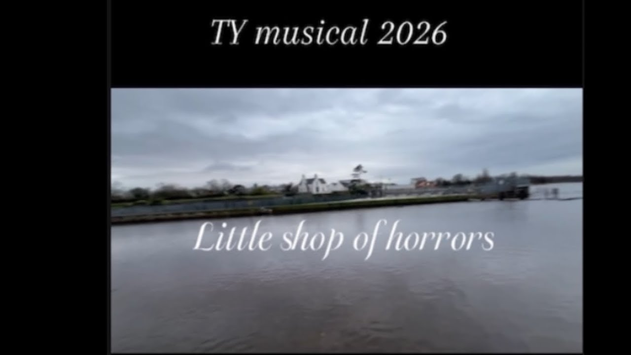 Ty musical 2026 
