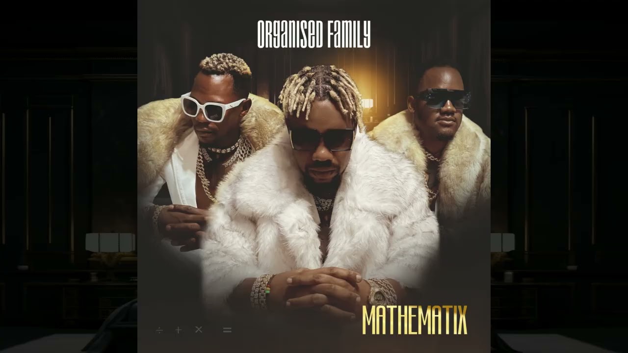 MATHEMATICS (Mathematix) Album-Organised Family