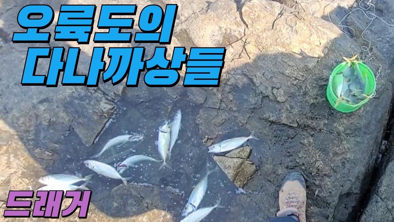 오륙도의 다나까상들 오륙도 비석섬 전갱이 카드채비 감성돔 카고 낚시