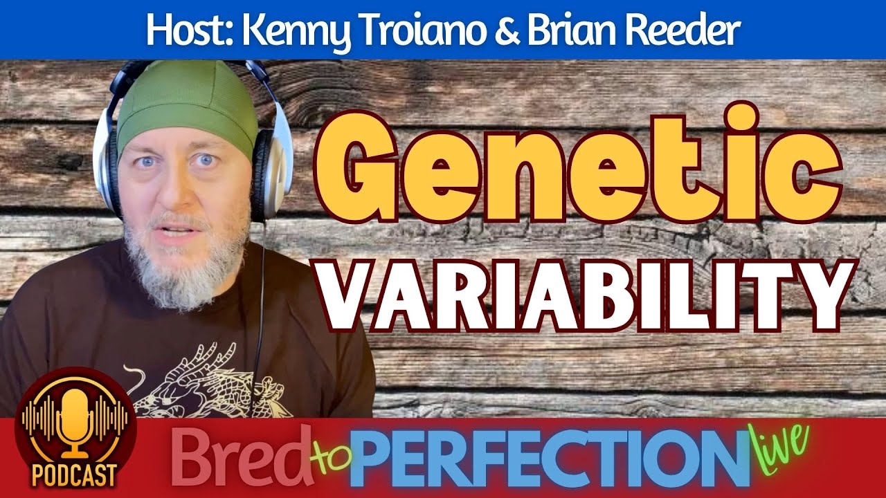 Ep190 - Understanding Genetic Variability in Breeding
