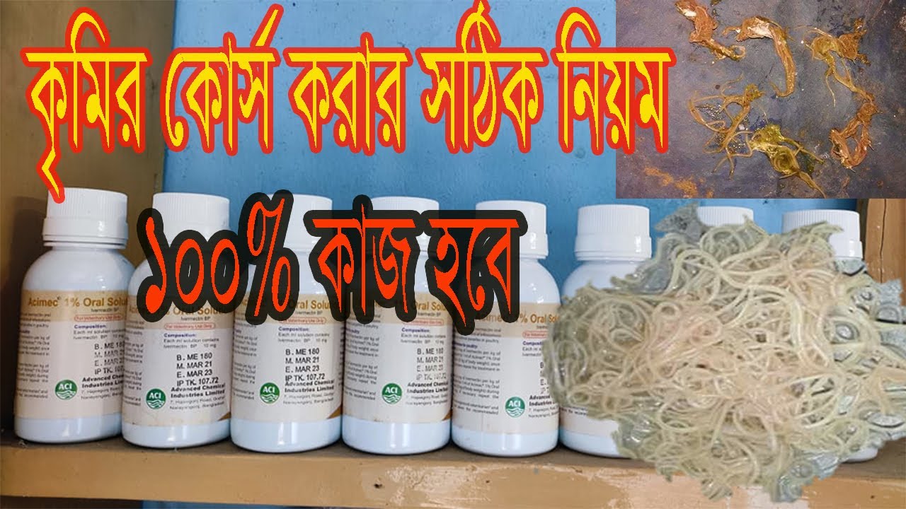 কবুতরের কৃমির কোর্স