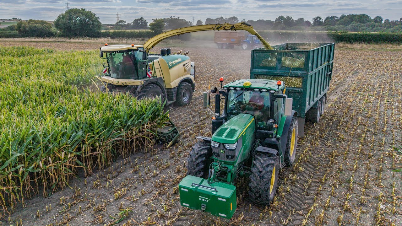 Maize harvest 2025 UK 4KUHD Bob Strange in his Krone BIG X 780