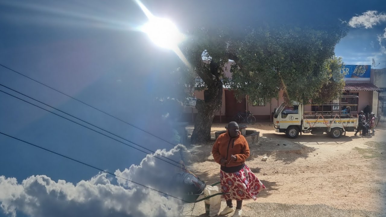 We are starting another big Roadrunner chicken farm in Zvimba districtict Zimbabwe🇿🇼
