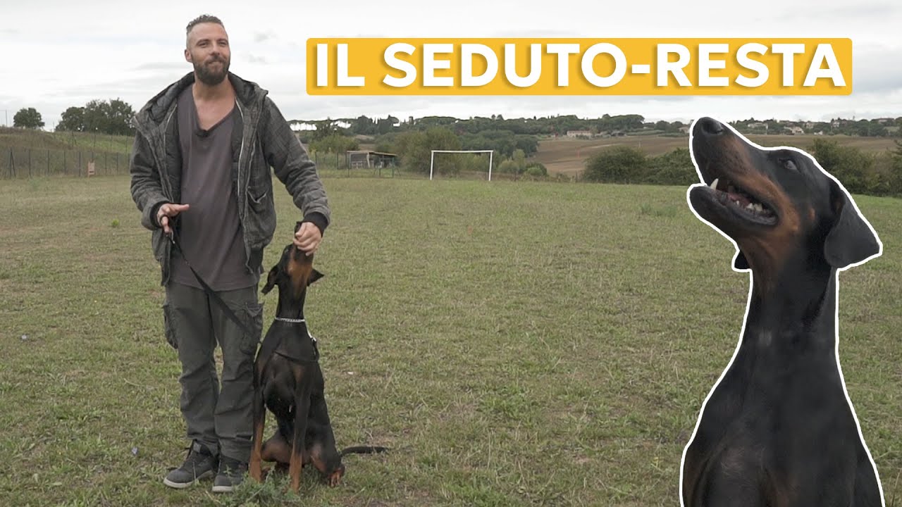 IMPARA IL RESTA PER LA PRIMA VOLTA