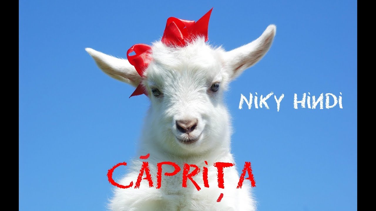 Niky Hindi - Caprita ( Ta ta ta, Caprita ta ) / Dec.2017