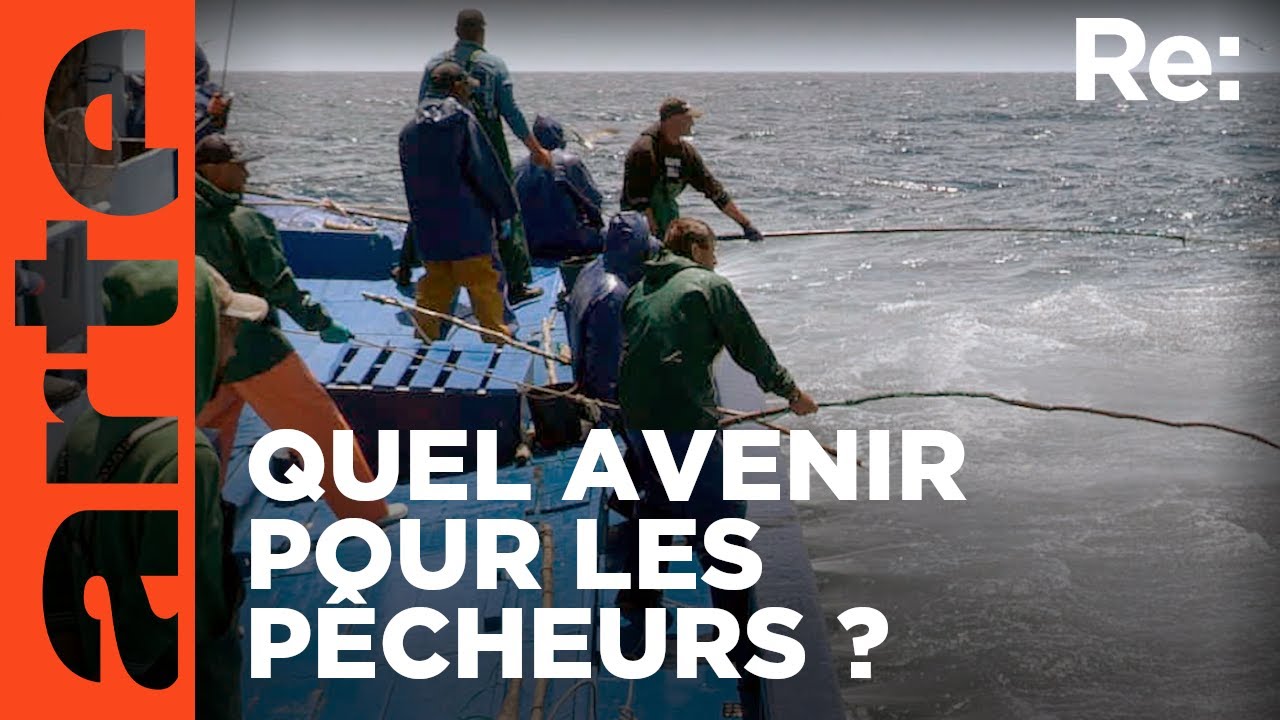 Les derniers pêcheurs à la ligne des Açores | Reportage | ARTE Regards