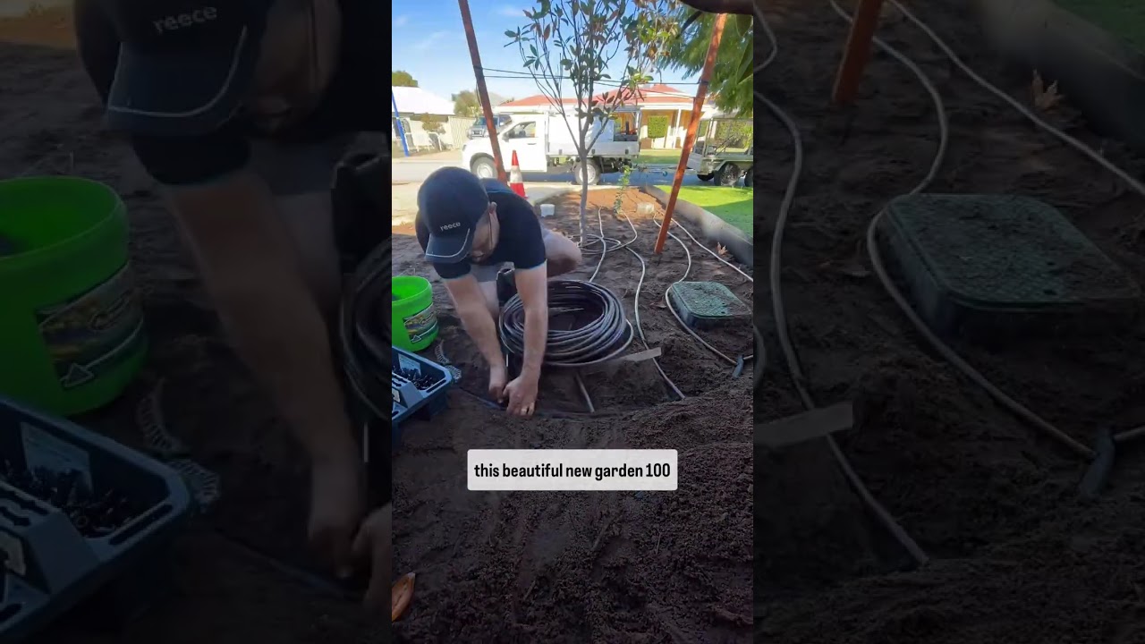 Subsurface drip irrigation installation in Perth, Western Australia.
