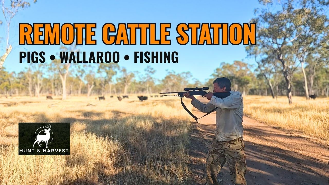 Kangaroo Harvest, Pig Shooting, and Fishing | Remote QLD