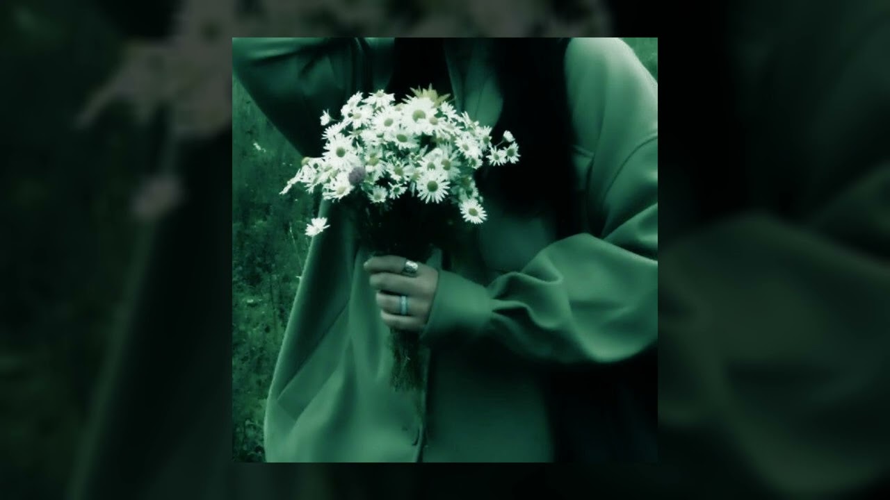 Novo Amor - Ontario (Slowed + reverb)