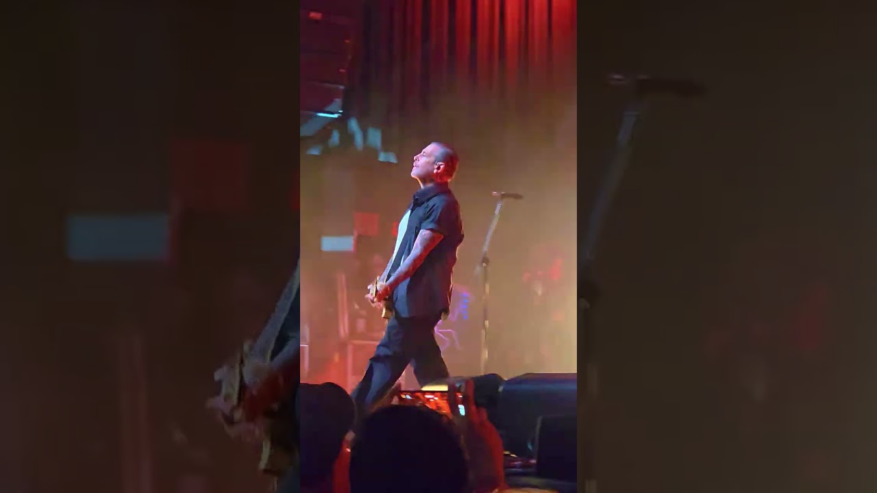 @socialdistortion performing 