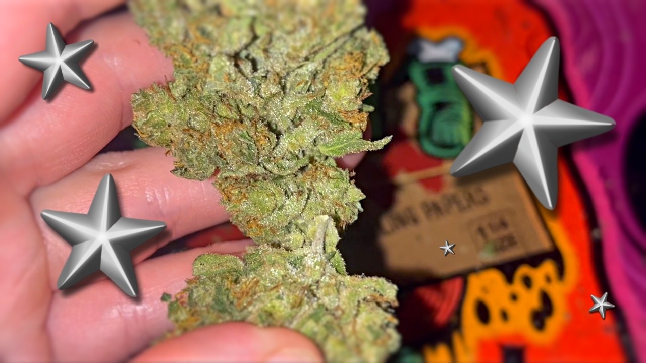 Обзор сорта Super Silver Haze (2026)