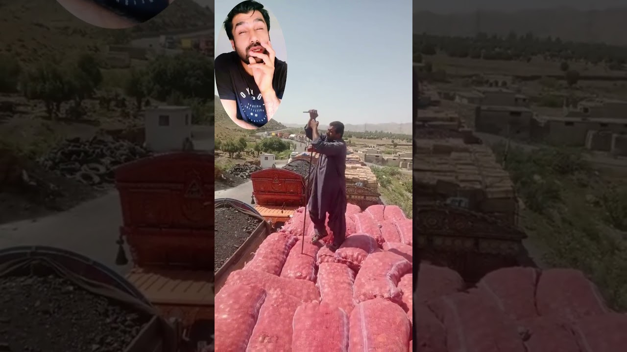 Border Truck Scan Gone Wrong? 🚛 | Food Loss Awareness 🌾