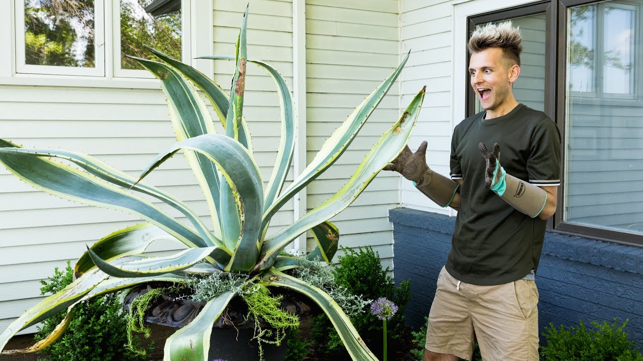 Outdoor Planters Done My Way