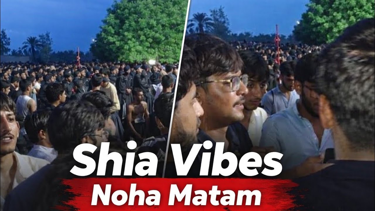 Powerful Noha Matam 🔥 | Shia Vibes | Muharram Live Matam