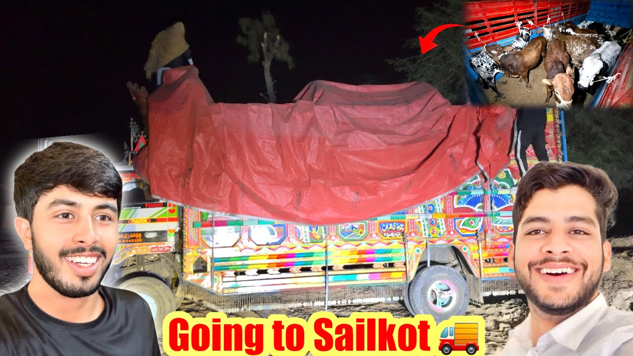 Going To Sailkot🥰Qurbani Wale Janwar Khareed Liye😍( Rs:1100000 Ka Janwar /Dulha Bhai 