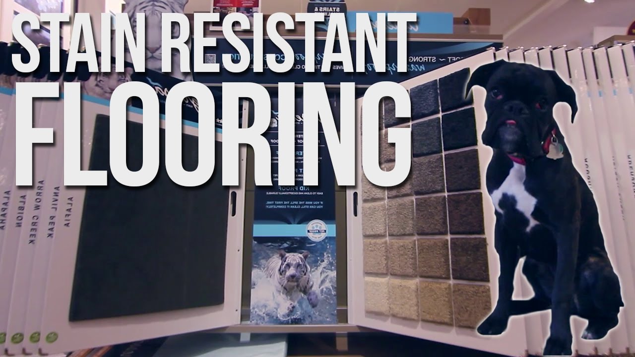Stain Resistant Flooring for Kids & Pets