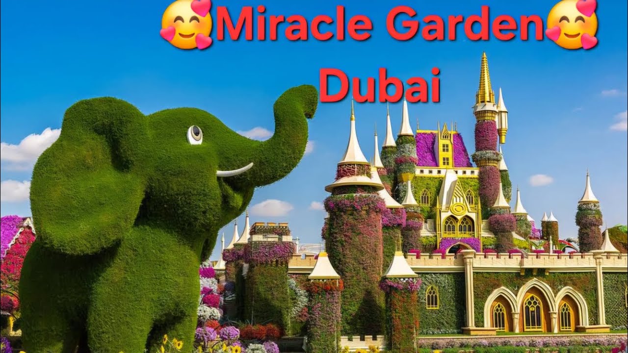MIRACLE GARDEN, DUBAI 🥰🥰