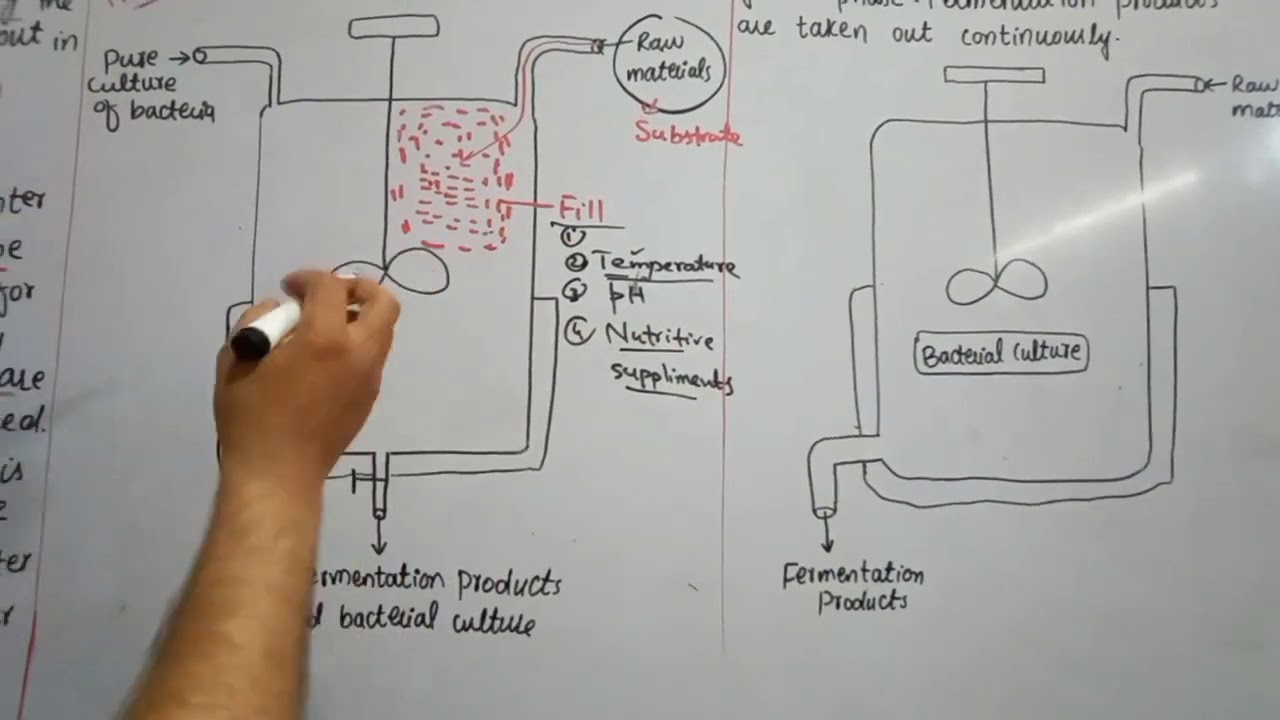 10th BIOLOGY,CH#17(BIOTECHNOLOGY)LEC#06,FERMENTERS,BATCH FERMENTATION AND CONTINUOUS  FERMENTATION