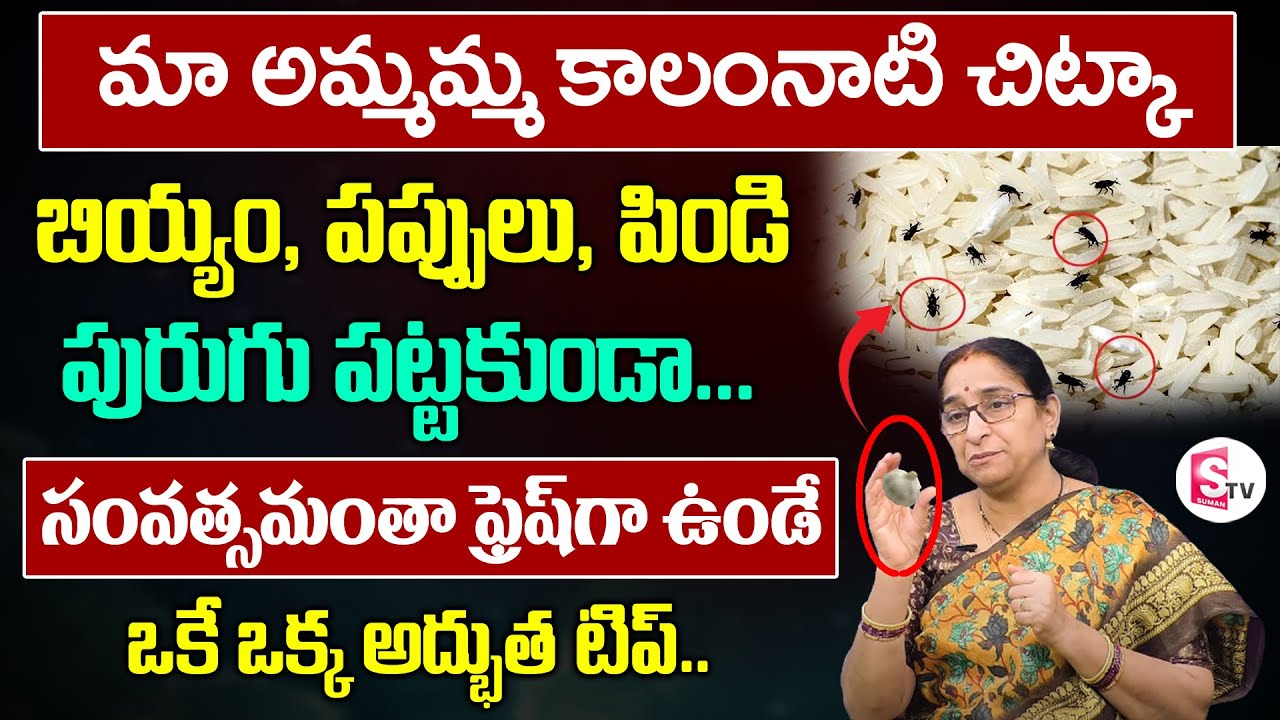 బియ్యం పురుగు పట్టకుండా ఉండాలంటే | Biyyam Purugu Pattakunda | How to Protect Rice from Worms