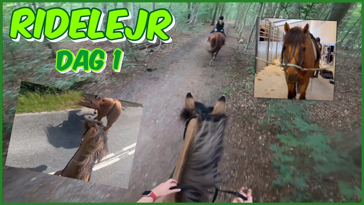 Ridelejr 2023 | DEL 1 | Skovtur