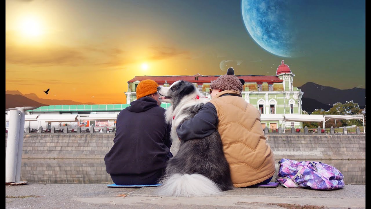 Собачий завтрак. Прогулка с бордер колли