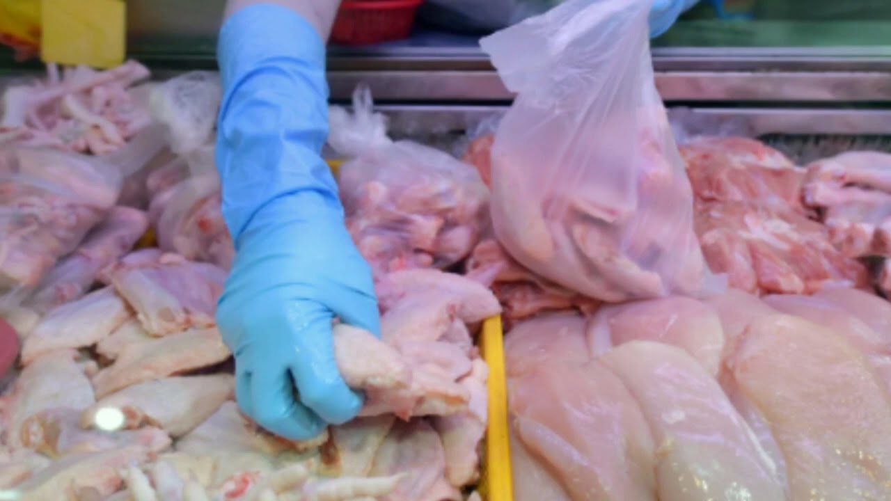 🐓como iniciar un negocio de VENTA de POLLO CRUDO🐓