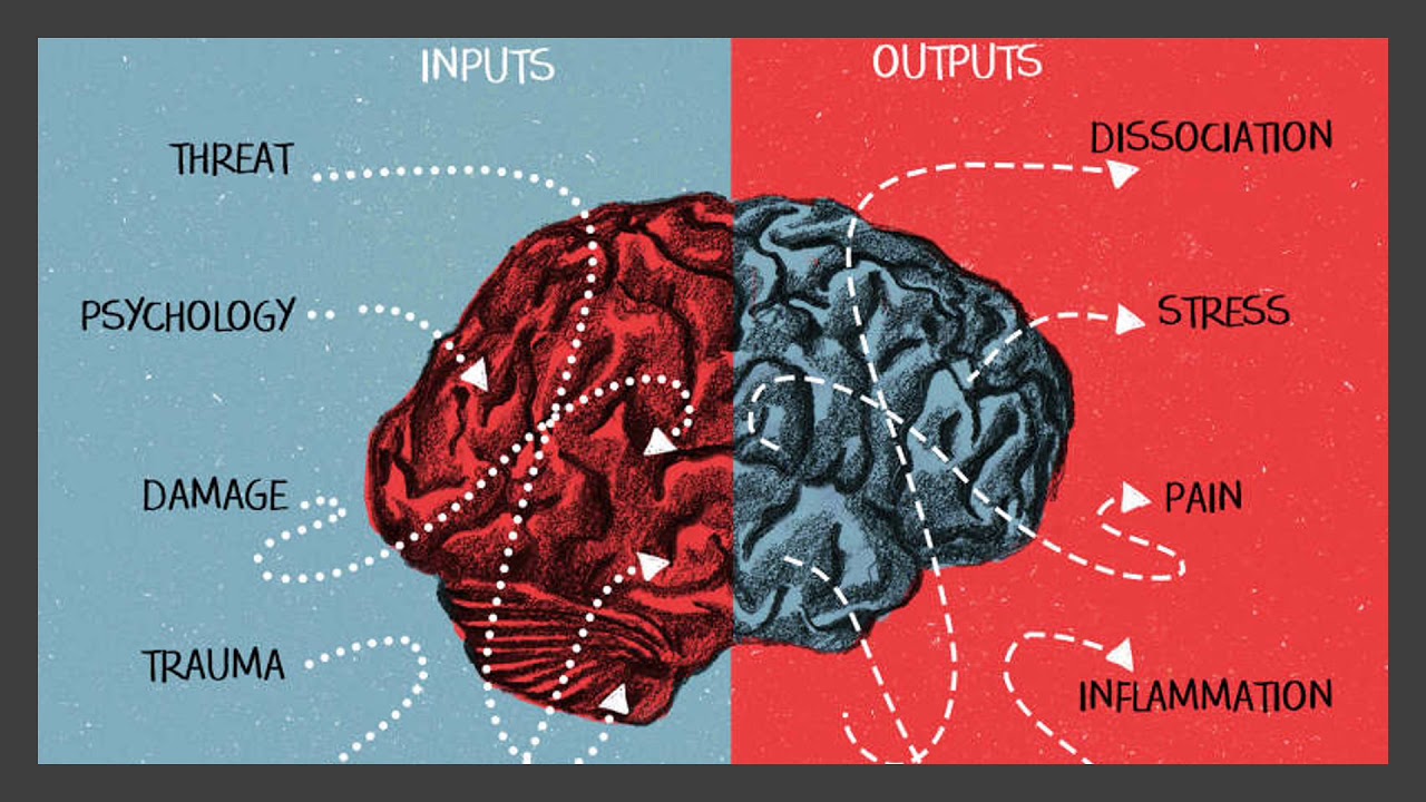 Sensorimotor Art Therapy