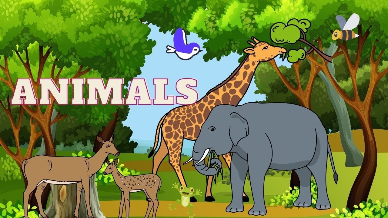 Animals in English . Kids simple sentences.