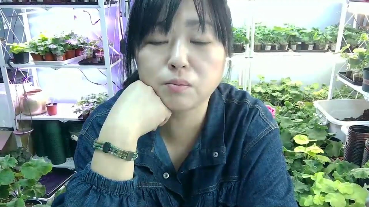 주말입니다`````