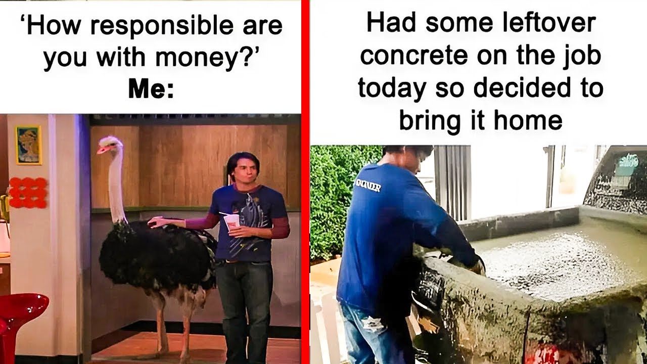Hilarious Memes To Help You Decompress When Life Gets A Little Bit Too Much
