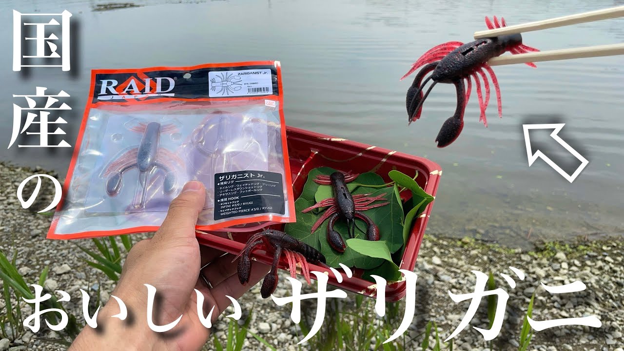 【バス釣り】ザリガニストジュニア！レイドジャパン2024年新製品！小さくなって新登場したザリガニもやはりすごい動きでした。 RAIDJAPAN ザリガニストJr.  水中アクション　動き　重さ　使い方