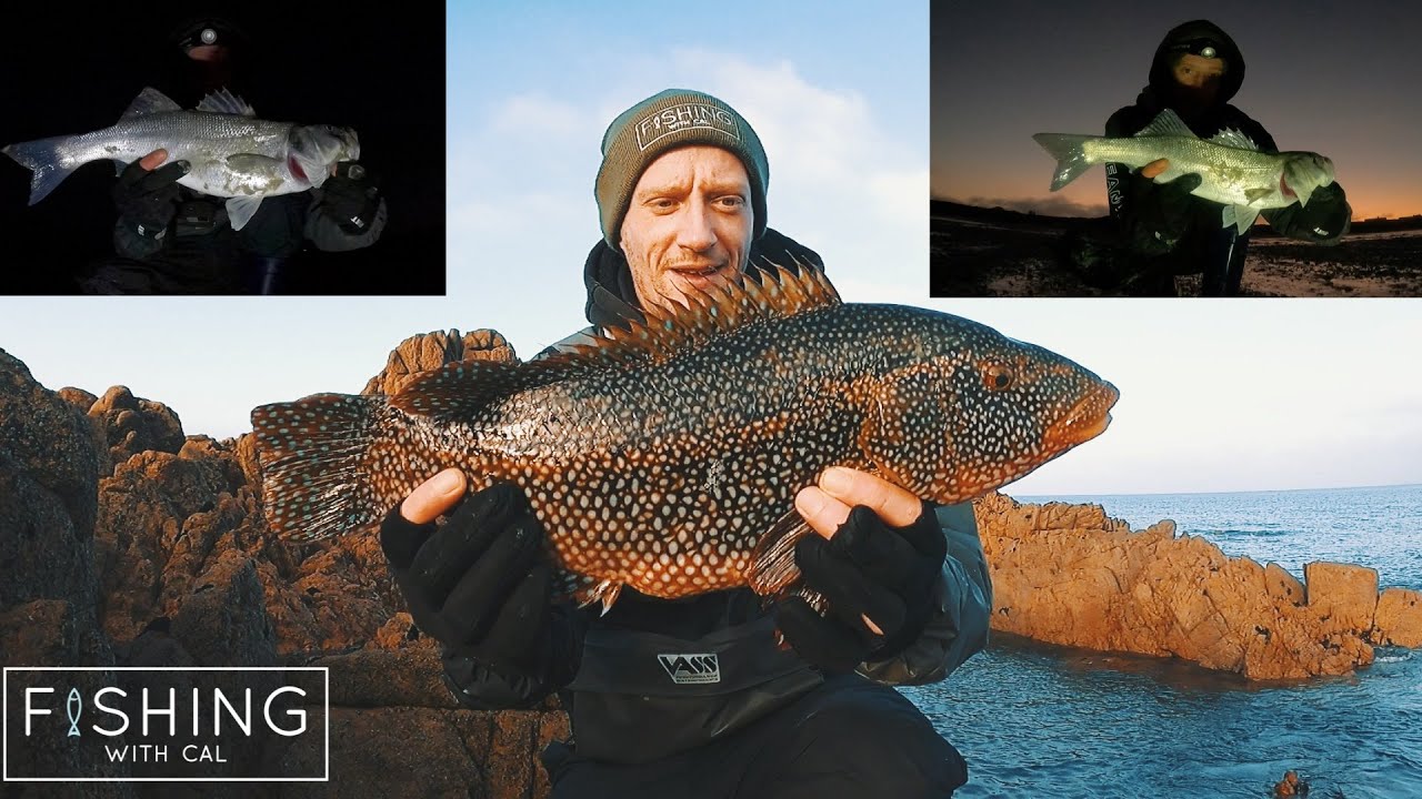 BASS AT SUNRISE | BIG WRASSE | CHANGING TACTICS | LURE FISHING FOR BASS & WRASSE
