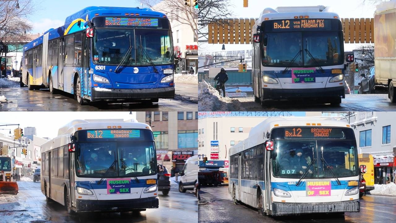 NYCT Bus: Assorted Snowy Xcelsior Bus Loans in Fordham, Bronx (After the Blizzard of February 2026)