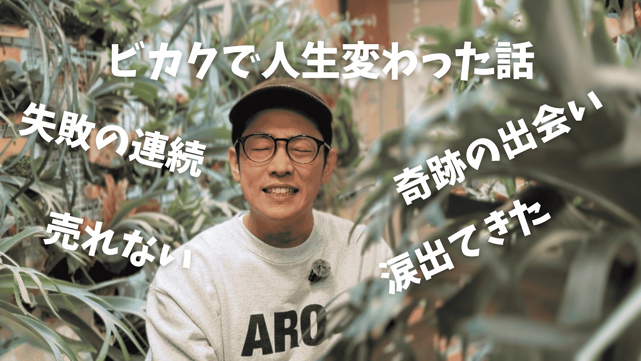 ビカクシダで人生変わった話