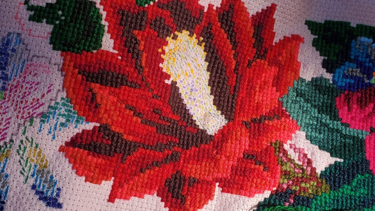 Bordando la flor de cactus en punto de cruz//lo que bordé en ENERO