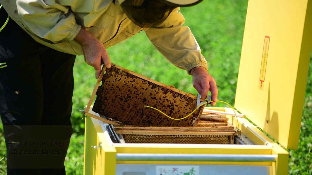 Le traitement thermique - Varroa Controller