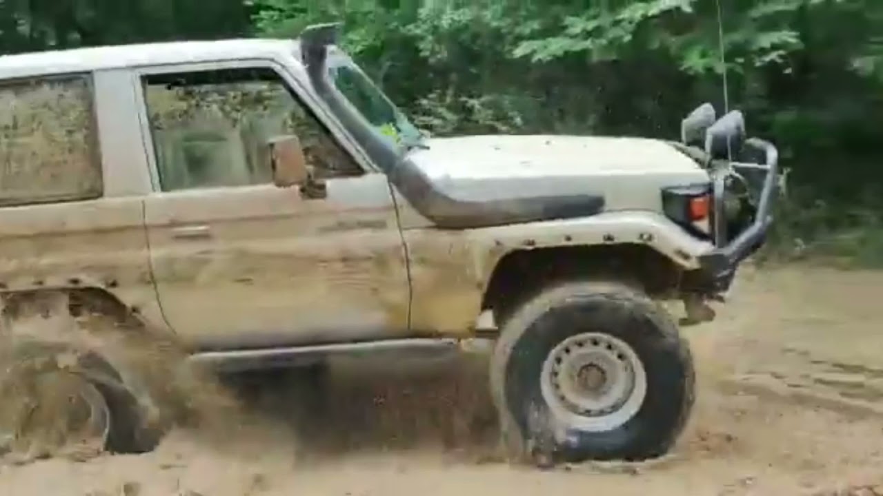 Machito de Roger en Aguaro Guariquito. Noviembre 2021.