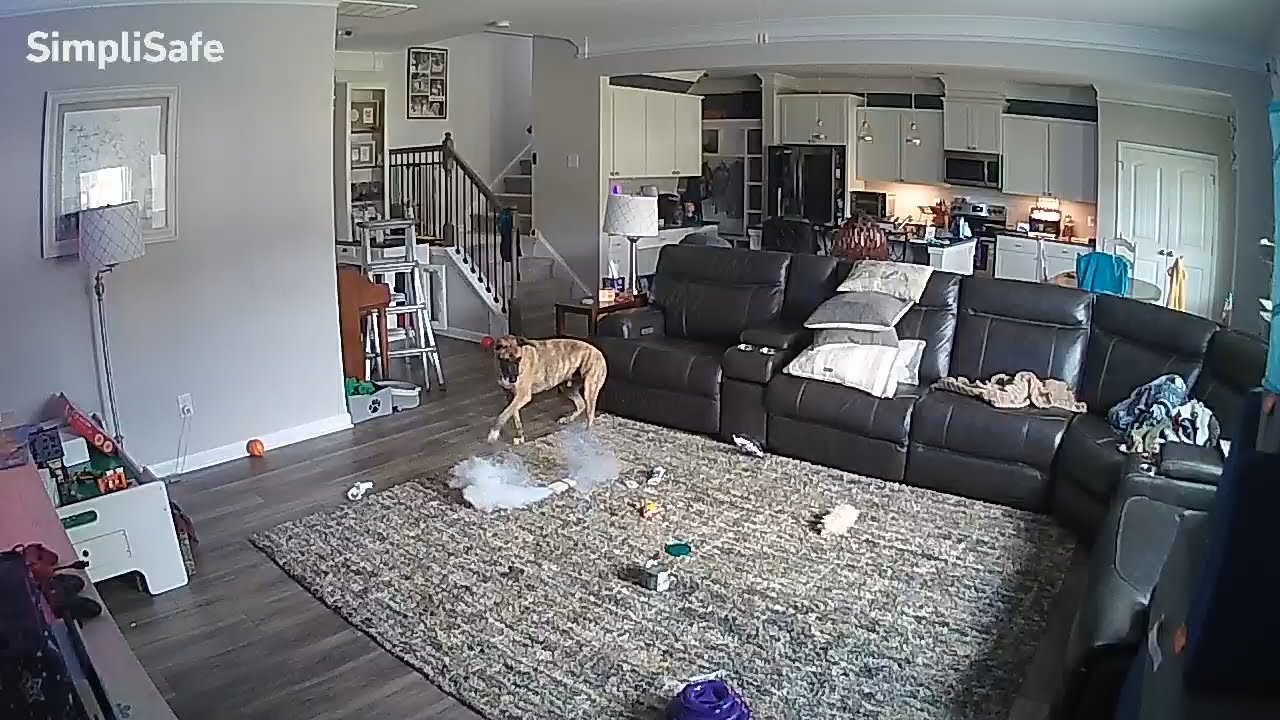 Dog bites lithium-ion battery, sparks fire inside Chapel Hill home