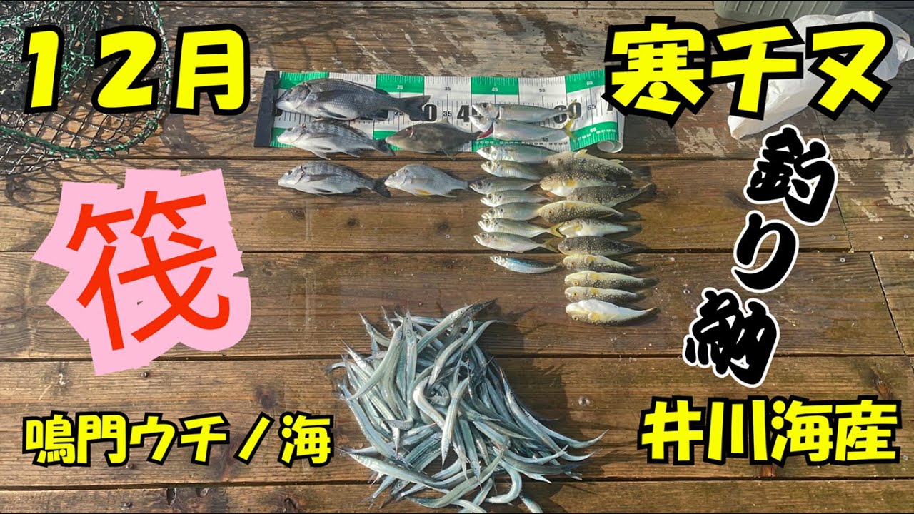 25.12.19 筏チヌ釣り　寒チヌ　　団子釣り　徳島県　鳴門　ウチノ海　井川海産　バクダン釣り　黒鯛　一番筏　サヨリすくい　釣り納