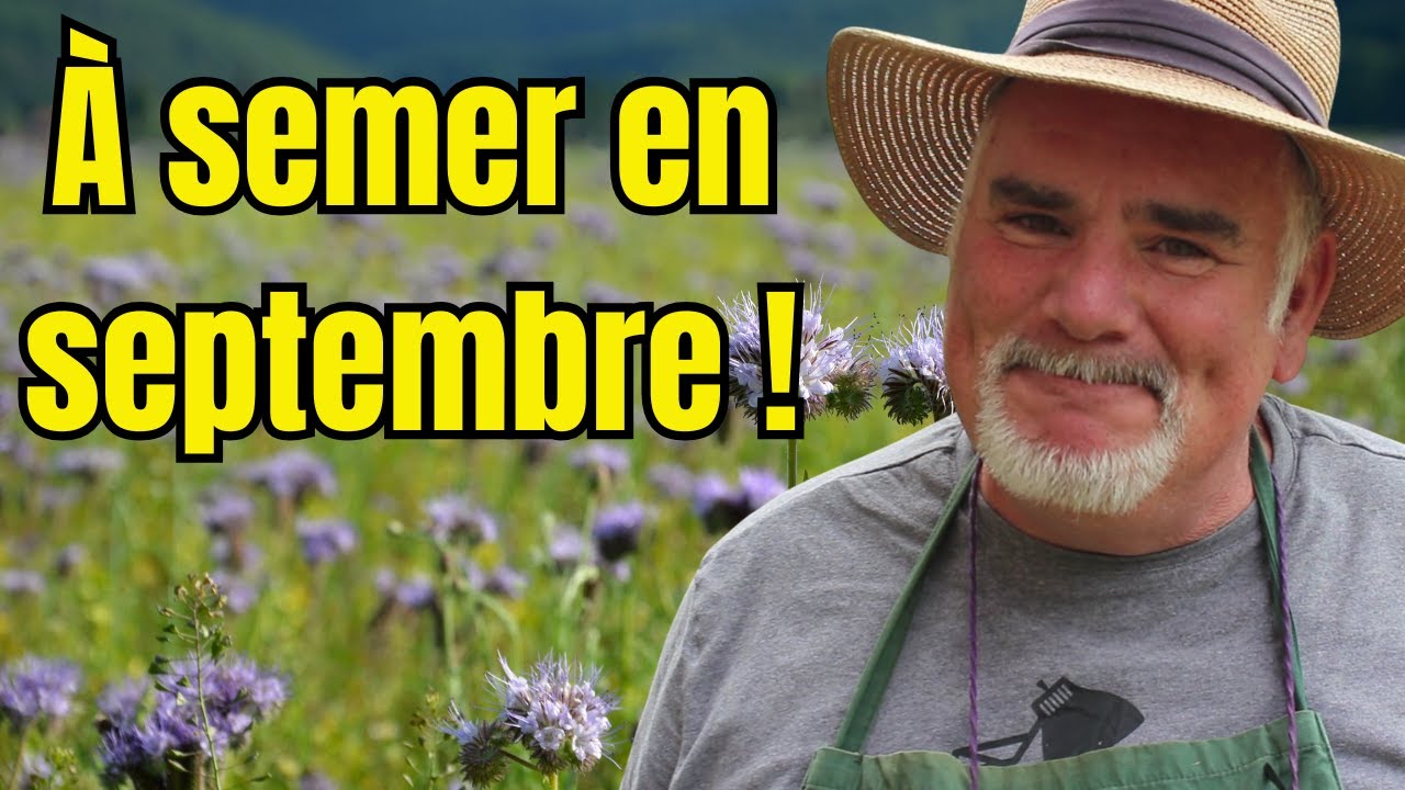 Les meilleurs engrais verts &agrave; semer en septembre pour ton potager (Nord, Sud, Est, Ouest)